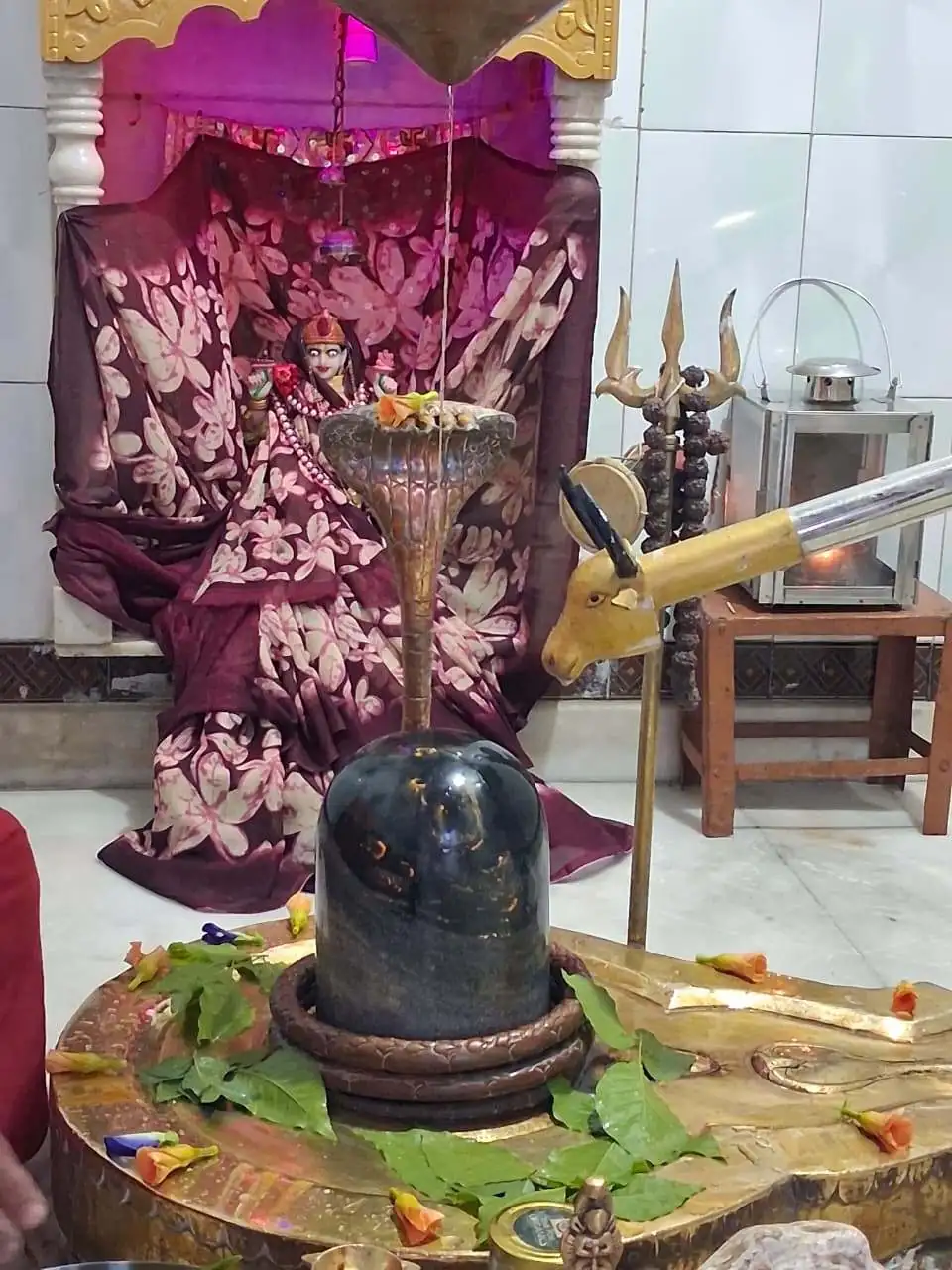 આજના દિવ્ય દર્શન